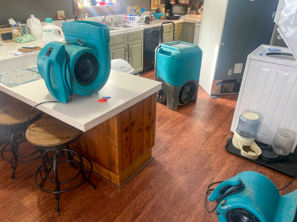 Best Ceiling water damage repair  in Vinita Park, MO