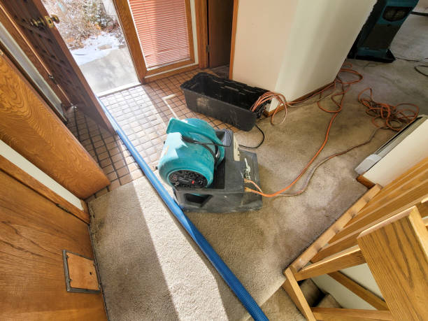 Best Water damage contractors near me  in Vinita Park, MO