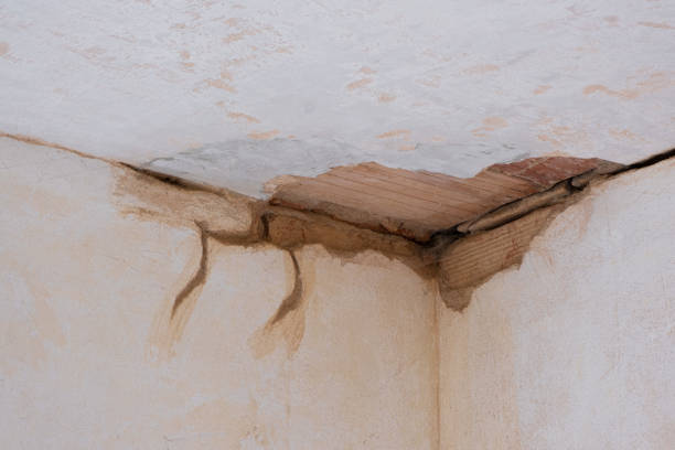 Best Sewage cleanup and water damage restoration  in Vinita Park, MO