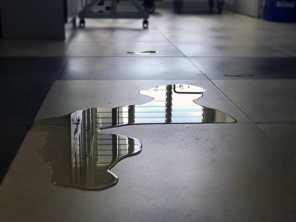 Best Water damage restoration experts  in Vinita Park, MO